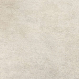 Leonardo Bone