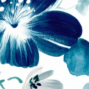 Comp. Petali Fiji